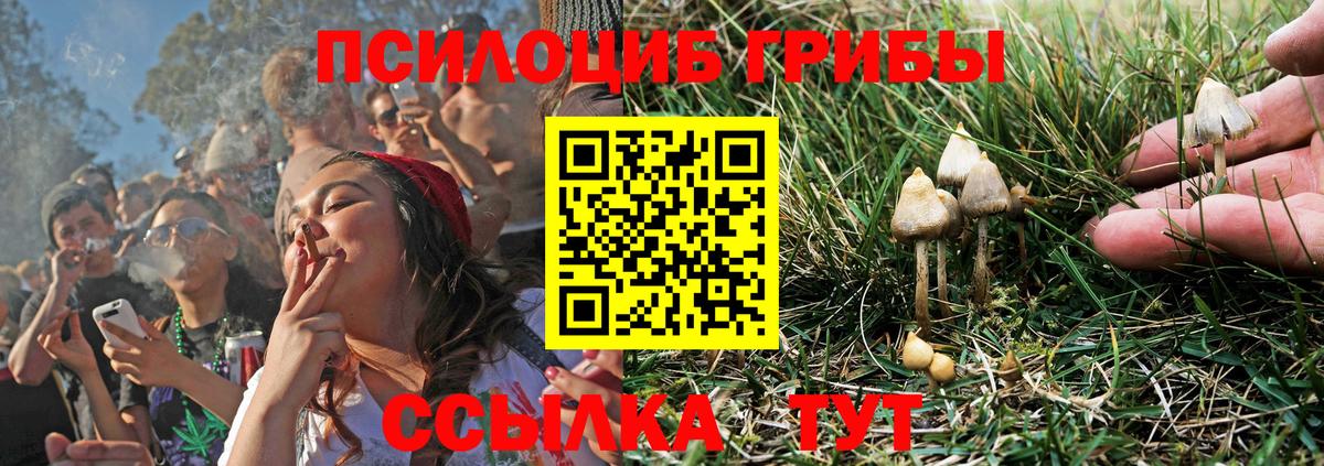 Псилоцибиновые грибы MAGIC MUSHROOMS  Вход с VPN  Домодедово 